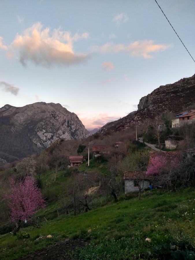 Vila El Llagar Vista  Exteriér fotografie